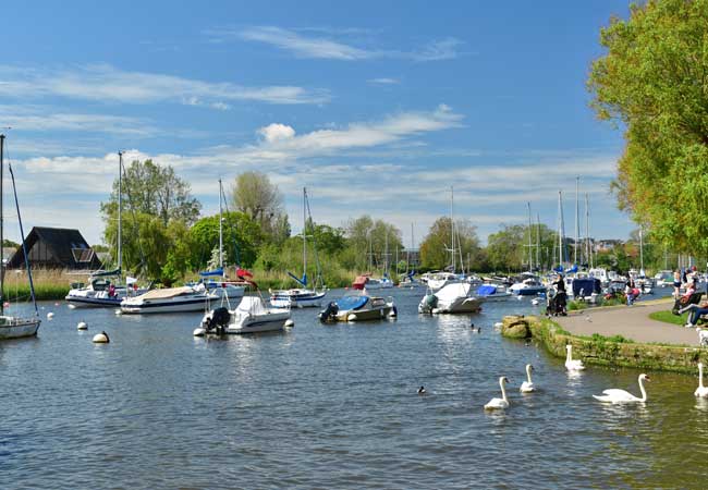 Der Fluss Stour christchurch