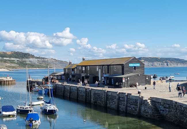 Lyme Regis Sea Aquarium