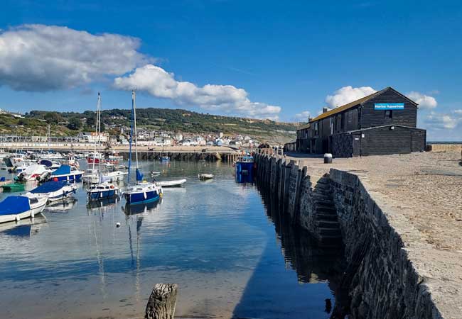 the cobb Lyme Regis