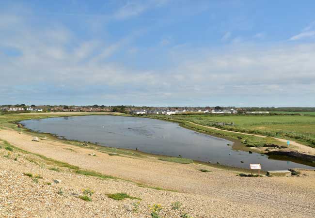 Sturt Pond Milford-on-Sea