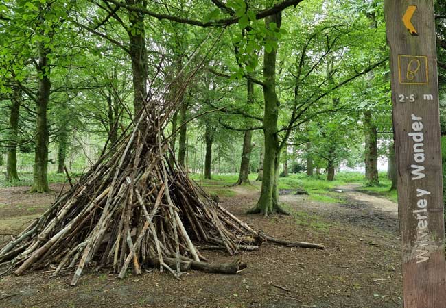 Wilverley Inclosure New Forest